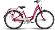SKYRIDE 24-3